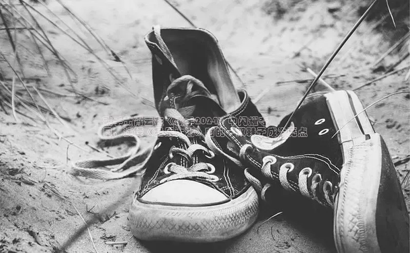 乐玩lehu唯一官网哇咔哇咔文化歌手黄霄云在《歌手2024》中闪耀夺
目，演绎《星辰大海》时的一双鞋子成为亮点