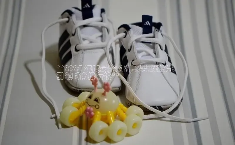 乐玩国际官方唯一官网神思电子**2024 年度最酷的悍马男式潮鞋：
引领时尚排行榜**