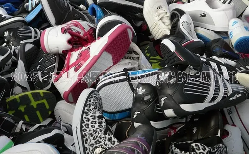 2025春季新款男鞋：运动风尚的无限可能