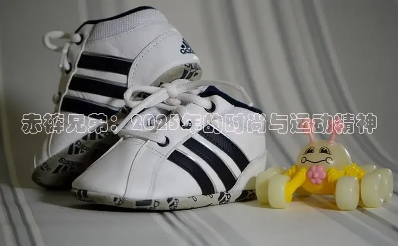 乐玩LEWIN-乐玩国际-乐玩体育-乐玩游戏