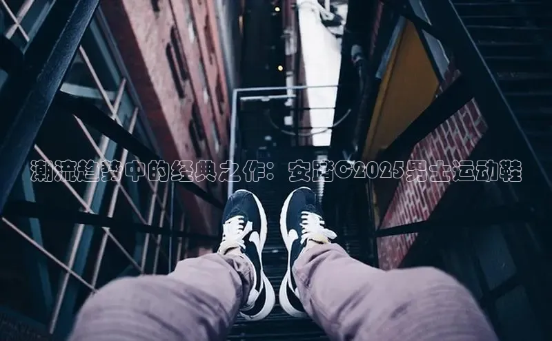 潮流趋势中的经典之作：安踏C2025男士运动鞋